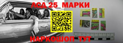 mdpv Кандалакша