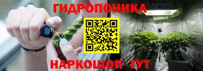 дживик Кингисепп