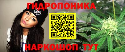 мяу мяу кристалл Канаш