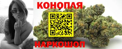 mdpv Кандалакша