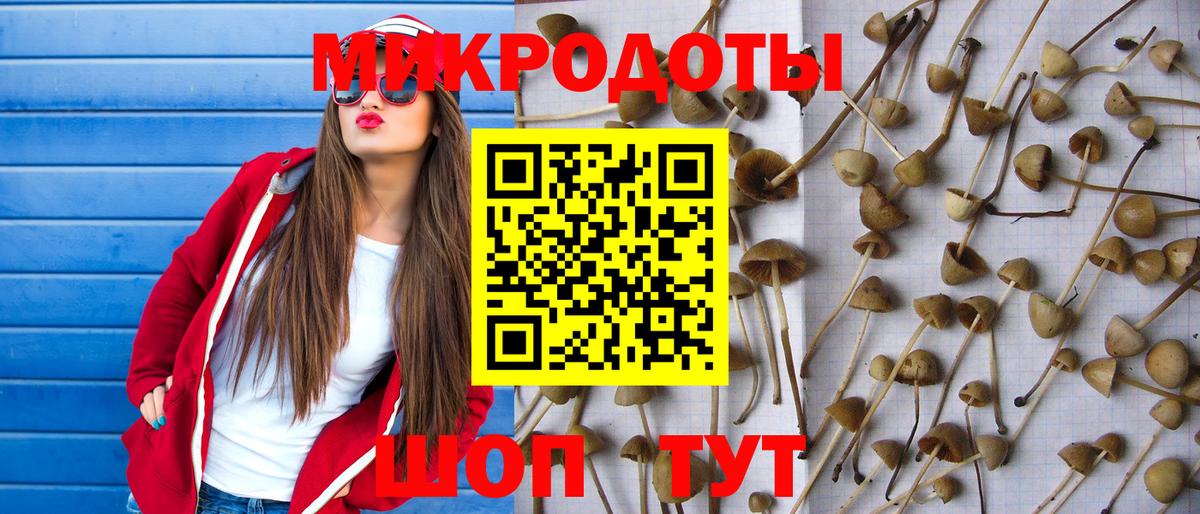 Псилоцибиновые грибы Magic Shrooms  Вход с VPN  Армавир  Псилоцибиновые грибы мицелий 